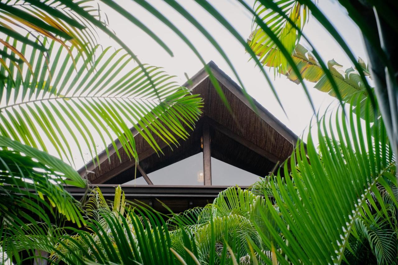 Lua Villas Playa Santa Teresa  Eksteriør bilde